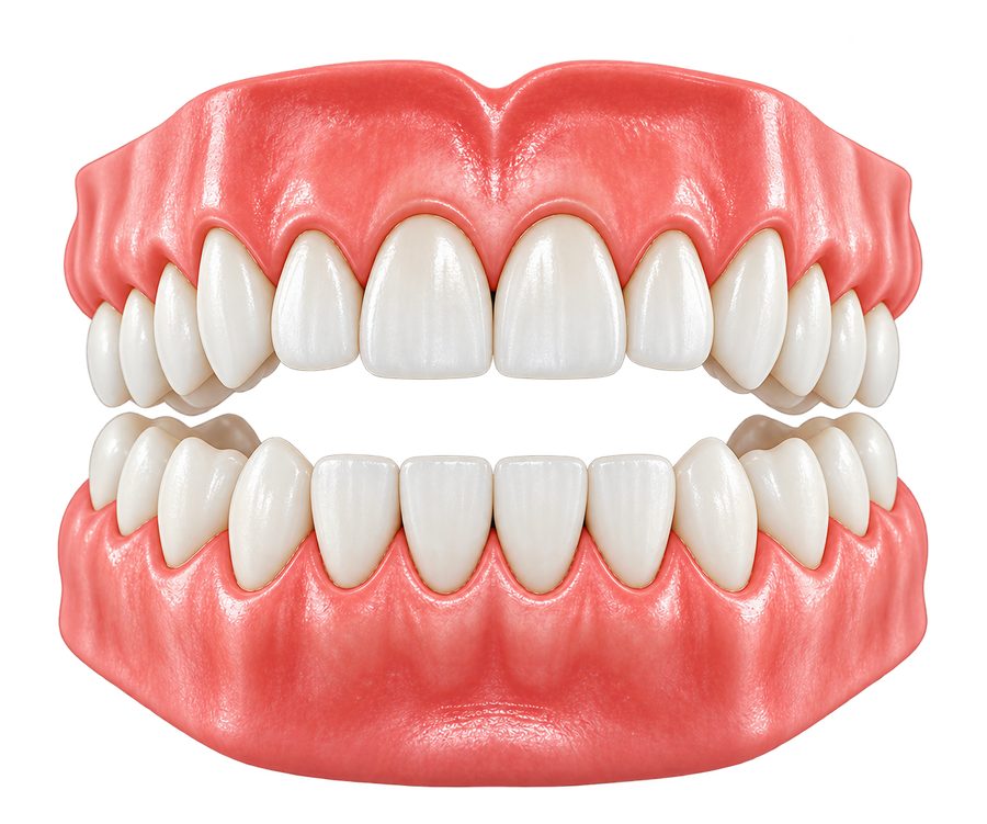 Upper and lower teeth with gums for selecting the affected area